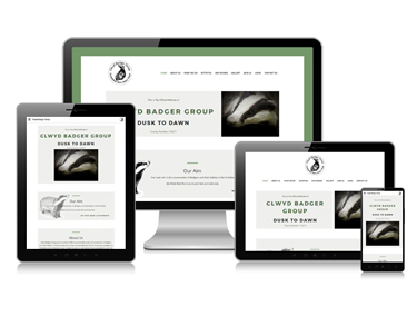 Clwyd Badger Group Website